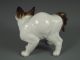 Antique Rosenthal German Porcelain Kitty Cat Figurine Figurines photo 4