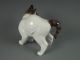 Antique Rosenthal German Porcelain Kitty Cat Figurine Figurines photo 5