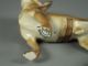Antique Hutschenreuther German Germany Porcelain Chihuahua Dog Figurine Figurines photo 9