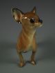 Antique Hutschenreuther German Germany Porcelain Chihuahua Dog Figurine Figurines photo 3
