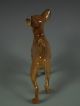 Antique Hutschenreuther German Germany Porcelain Chihuahua Dog Figurine Figurines photo 5