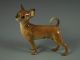 Antique Hutschenreuther German Germany Porcelain Chihuahua Dog Figurine Figurines photo 7