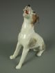 Antique German Carl Thieme Dresden Porcelain Dog Figurine Excellent Figurines photo 3