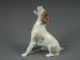 Antique German Carl Thieme Dresden Porcelain Dog Figurine Excellent Figurines photo 4