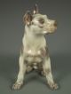 Dahl Jensen Copenhagen Porcelain Great Dane Dog Figurine 1128 Excellent Figurines photo 3