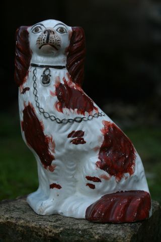 19th C.  Staffordshire Seated Brown & White Hearth Dog photo