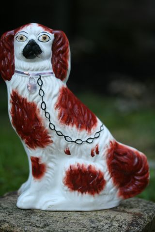 Interesting 19th C.  Staffordshire Seated Brown & White Hearth Dog With Lustre photo