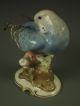 Large Antique Hutschenreuther German Porcelain Blue Parakeet Bird Figurine Figurines photo 9