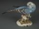 Large Antique Hutschenreuther German Porcelain Blue Parakeet Bird Figurine Figurines photo 10