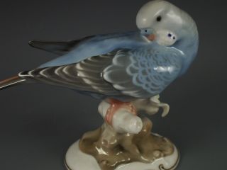 Large Antique Hutschenreuther German Porcelain Blue Parakeet Bird Figurine photo