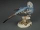 Large Antique Hutschenreuther German Porcelain Blue Parakeet Bird Figurine Figurines photo 2