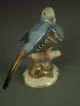 Large Antique Hutschenreuther German Porcelain Blue Parakeet Bird Figurine Figurines photo 3