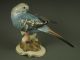 Large Antique Hutschenreuther German Porcelain Blue Parakeet Bird Figurine Figurines photo 5