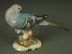 Large Antique Hutschenreuther German Porcelain Blue Parakeet Bird Figurine Figurines photo 6