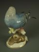 Large Antique Hutschenreuther German Porcelain Blue Parakeet Bird Figurine Figurines photo 7
