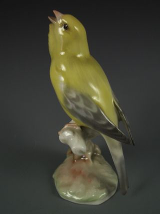 Antique Hutschenreuther German Porcelain Yellow Bird Figurine photo