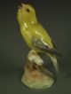 Antique Hutschenreuther German Porcelain Yellow Bird Figurine Figurines photo 1
