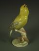 Antique Hutschenreuther German Porcelain Yellow Bird Figurine Figurines photo 4