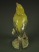 Antique Hutschenreuther German Porcelain Yellow Bird Figurine Figurines photo 5