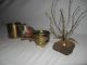 5 Pc.  Copper Kettle/pot/tray And Tree Ensemble With Bird Candle Metalware photo 3