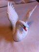 Maruri Graceful Reflections Fine Bone China Studio Design Porcelain Swan Sw 9153 Figurines photo 3