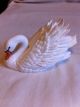 Maruri Graceful Reflections Fine Bone China Studio Design Porcelain Swan Sw 9153 Figurines photo 4