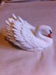 Maruri Graceful Reflections Fine Bone China Studio Design Porcelain Swan Sw 9153 Figurines photo 5