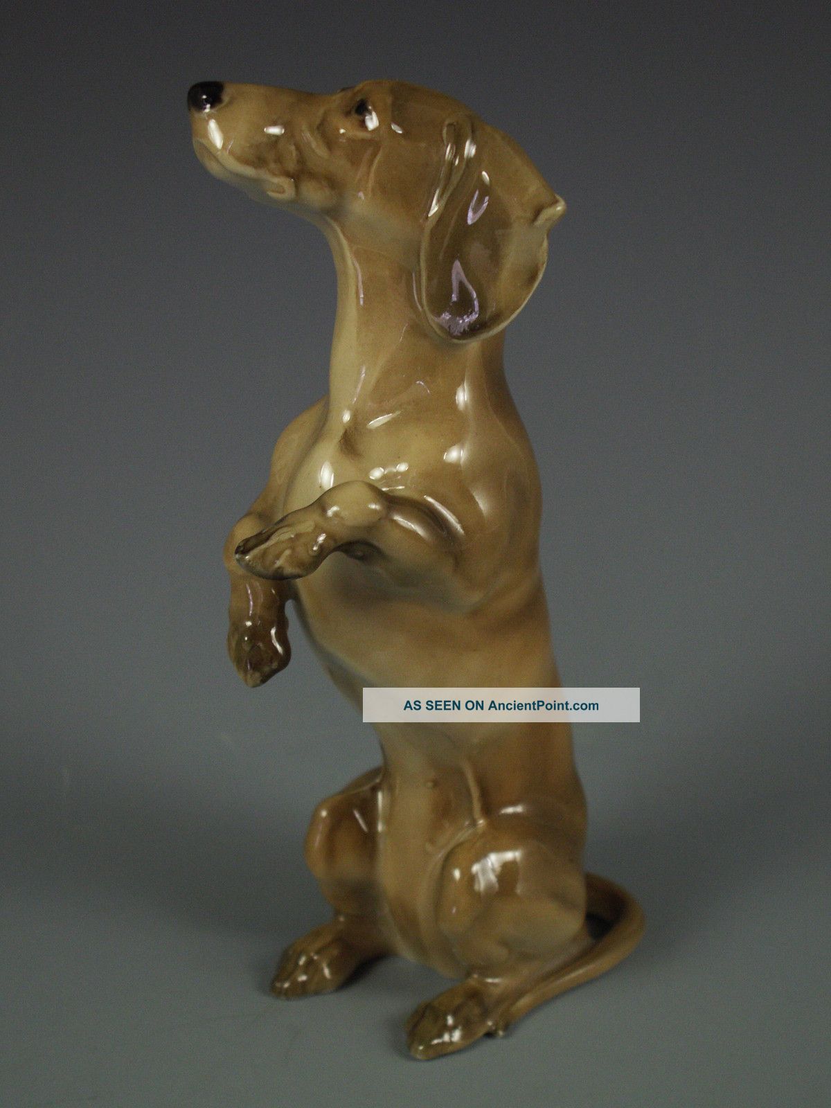 Antique Hutschenreuther German Porcelain Dachshund Dog Figurine Excellent Figurines photo