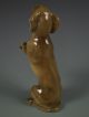 Antique Hutschenreuther German Porcelain Dachshund Dog Figurine Excellent Figurines photo 2