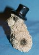Vintage Spaghetti Pottery Darling Shih Tzu Or Lhasa Apso Terrier Dog Figurine Figurines photo 10