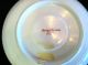 Antique Limoges Saucers - - Estate Pieces Cups & Saucers photo 4