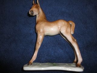 Rosenthal Porcelin Pony photo