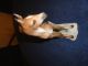 Rosenthal Porcelin Pony Figurines photo 2