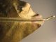 Rarest One - Off Magnolia Leaf Series By Oskar Hansen,  Virginia Metalcrafters Vmc? Metalware photo 7