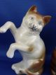 Three Vtg Porcelain Cat Figurines Made In Germany Figurines photo 1