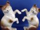 Three Vtg Porcelain Cat Figurines Made In Germany Figurines photo 2