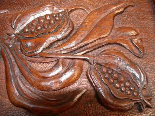 19thc Oak Panel With Relief Carved Pomegranates photo