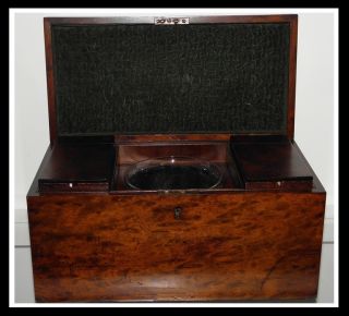 Antique Regency Walnut Tea Caddy Casket Box W Inserts Sale photo