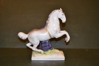 Kpm Horse Porcelain 19 Th Century photo