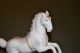 Kpm Horse Porcelain 19 Th Century Figurines photo 3