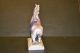 Kpm Horse Porcelain 19 Th Century Figurines photo 5