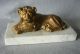 Antique English Lion Scultpure On Marble Base Metalware photo 2