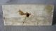 Antique English Lion Scultpure On Marble Base Metalware photo 4