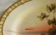 Antique Shofu Handpainted Fine China Cup & Saucer Plate Occupied Japan Rare Swan Cups & Saucers photo 5