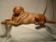 Antique Carved Wood Dog Large 15 Inches Long Nr Carved Figures photo 1