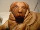 Antique Carved Wood Dog Large 15 Inches Long Nr Carved Figures photo 3