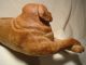 Antique Carved Wood Dog Large 15 Inches Long Nr Carved Figures photo 4