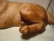 Antique Carved Wood Dog Large 15 Inches Long Nr Carved Figures photo 6