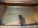 Old Wood Country Kitchen Folk Art Display Storage Bread Box Chest W Metal Bands Primitives photo 5