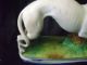 19th Century White Paste Porcelin Whippit Dog Figurine On Base Figurines photo 2